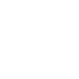 custom_website